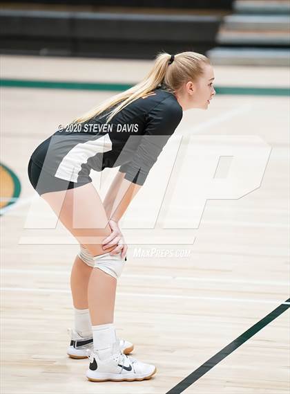 Thumbnail 3 in Chaparral @ Basha photogallery.