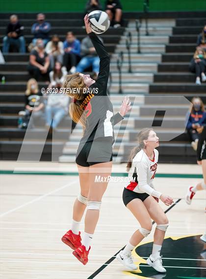 Thumbnail 2 in Chaparral @ Basha photogallery.