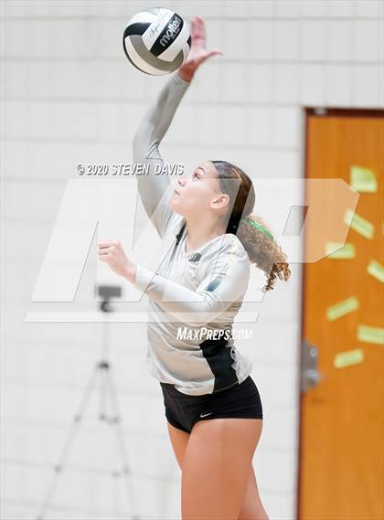 Thumbnail 3 in Chaparral @ Basha photogallery.