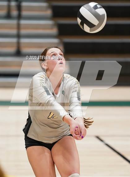 Thumbnail 3 in Chaparral @ Basha photogallery.