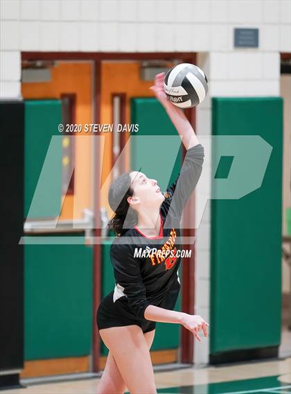 Thumbnail 3 in Chaparral @ Basha photogallery.
