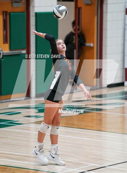 Thumbnail 2 in Chaparral @ Basha photogallery.