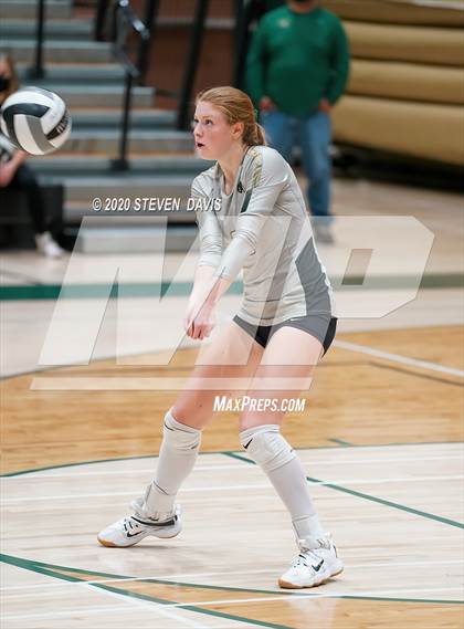 Thumbnail 2 in Chaparral @ Basha photogallery.