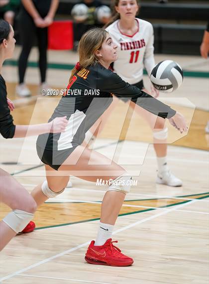 Thumbnail 1 in Chaparral @ Basha photogallery.