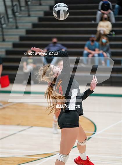 Thumbnail 3 in Chaparral @ Basha photogallery.