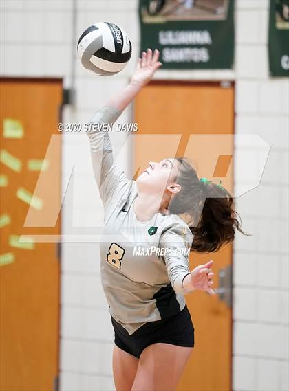 Thumbnail 2 in Chaparral @ Basha photogallery.