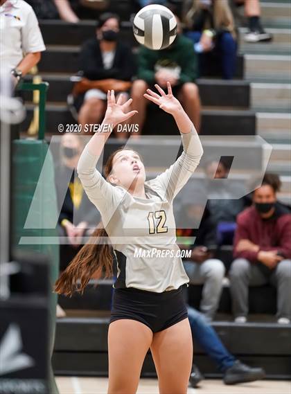 Thumbnail 2 in Chaparral @ Basha photogallery.