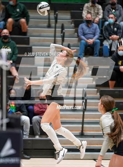 Thumbnail 3 in Chaparral @ Basha photogallery.