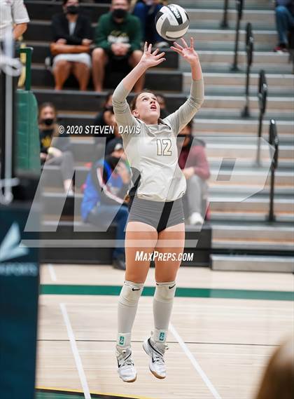 Thumbnail 2 in Chaparral @ Basha photogallery.