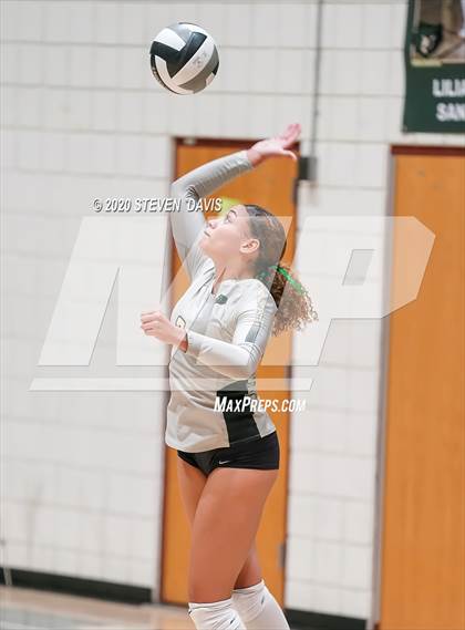 Thumbnail 3 in Chaparral @ Basha photogallery.