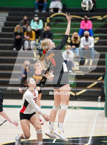 Thumbnail 3 in Chaparral @ Basha photogallery.