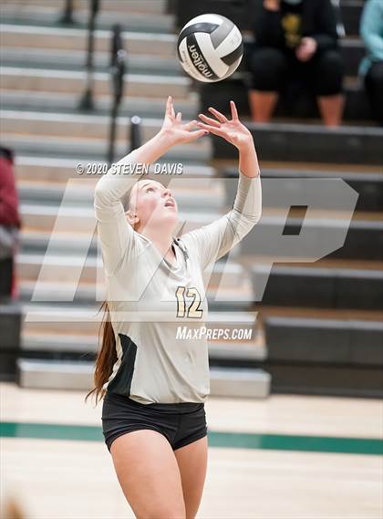 Thumbnail 2 in Chaparral @ Basha photogallery.