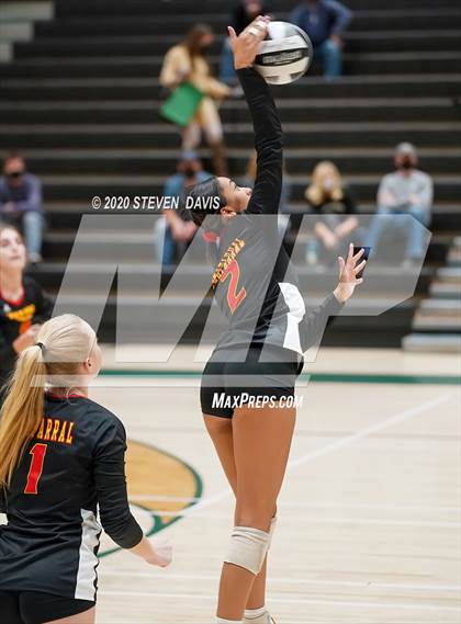 Thumbnail 2 in Chaparral @ Basha photogallery.