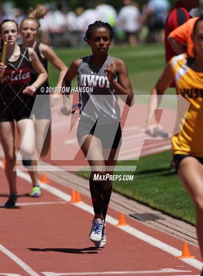 Thumbnail 2 in CHSAA Track and Field Championships (Day 1 - Girls Events) photogallery.
