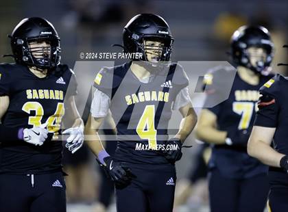 Thumbnail 1 in Liberty vs Saguaro photogallery.