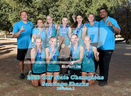 Thumbnail 3 in CIF State Cross Country Championships (Girls Awards) photogallery.