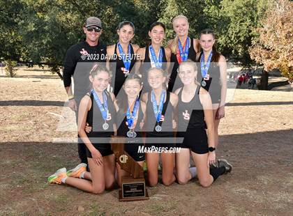 Thumbnail 3 in CIF State Cross Country Championships (Girls Awards) photogallery.