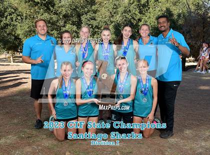Thumbnail 2 in CIF State Cross Country Championships (Girls Awards) photogallery.
