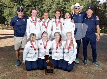 Thumbnail 3 in CIF State Cross Country Championships (Girls Awards) photogallery.