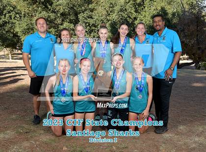 Thumbnail 1 in CIF State Cross Country Championships (Girls Awards) photogallery.