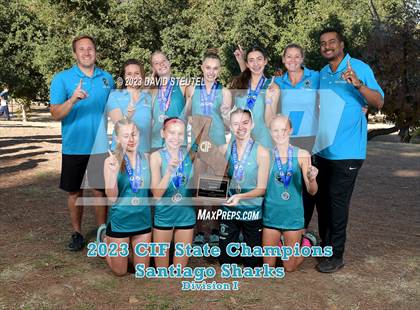 Thumbnail 1 in CIF State Cross Country Championships (Girls Awards) photogallery.