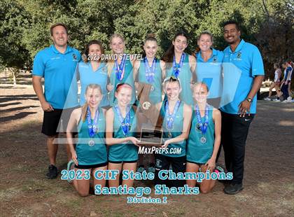 Thumbnail 3 in CIF State Cross Country Championships (Girls Awards) photogallery.