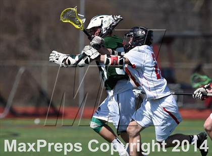 Thumbnail 3 in Pleasantville @ Somers photogallery.