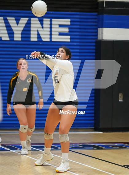 Thumbnail 2 in Gilbert vs. O'Connor photogallery.