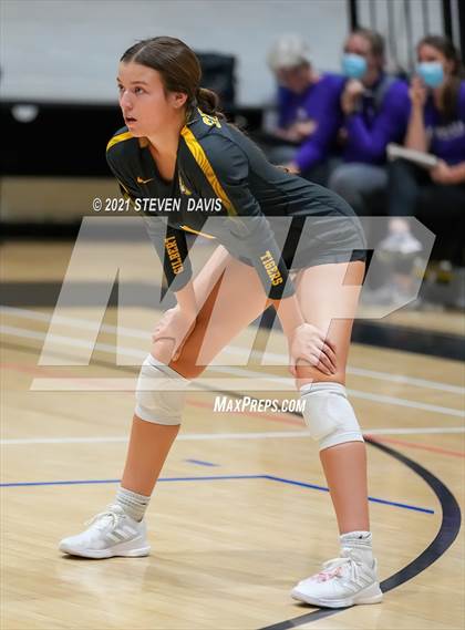 Thumbnail 1 in Gilbert vs. O'Connor photogallery.