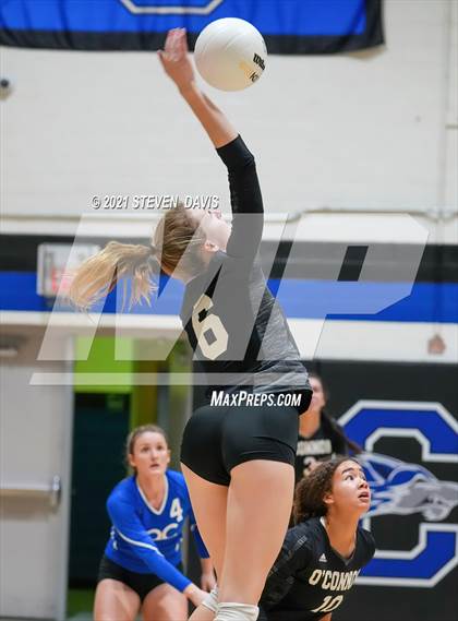Thumbnail 2 in Gilbert vs. O'Connor photogallery.