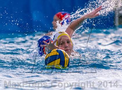 Thumbnail 3 in San Pasqual @ Clairemont photogallery.