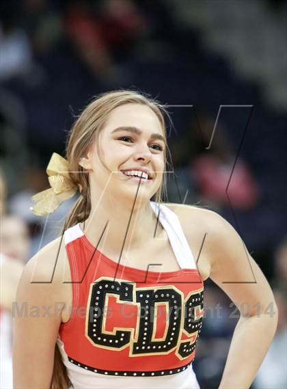 Thumbnail 3 in Corona del Sol @ Shadow Mountain (MLK Basketball Classic) photogallery.