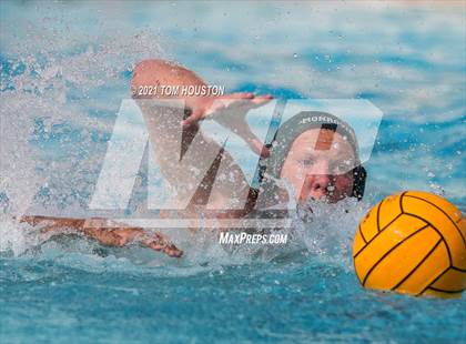 Thumbnail 3 in Monrovia vs Pasadena photogallery.