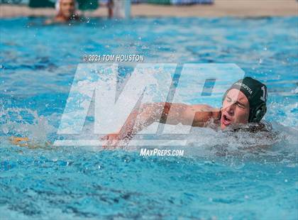 Thumbnail 2 in Monrovia vs Pasadena photogallery.