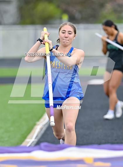 Thumbnail 1 in Marion Relays (Pole Vault)  photogallery.