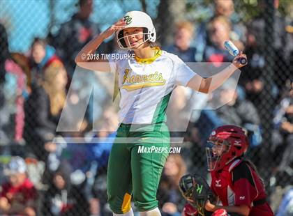 Thumbnail 1 in Pueblo County vs. Ponderosa (CHSAA 4A 1st Round Playoff) photogallery.