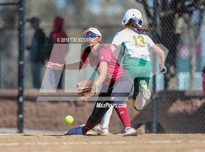 Thumbnail 3 in Pueblo County vs. Ponderosa (CHSAA 4A 1st Round Playoff) photogallery.