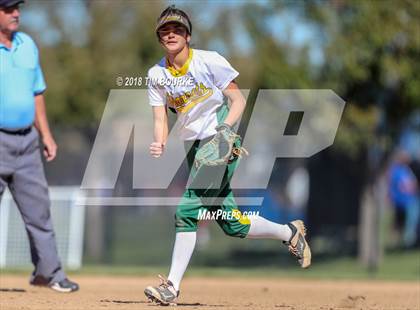 Thumbnail 3 in Pueblo County vs. Ponderosa (CHSAA 4A 1st Round Playoff) photogallery.