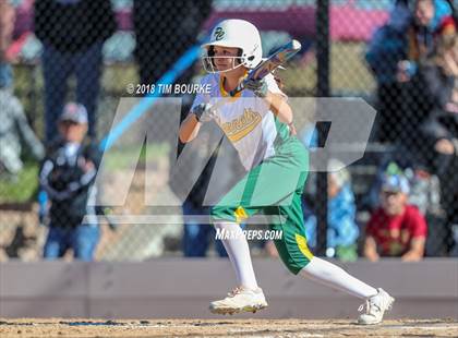 Thumbnail 2 in Pueblo County vs. Ponderosa (CHSAA 4A 1st Round Playoff) photogallery.