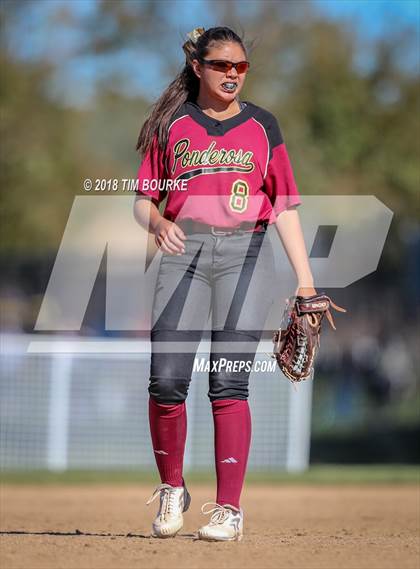Thumbnail 2 in Pueblo County vs. Ponderosa (CHSAA 4A 1st Round Playoff) photogallery.