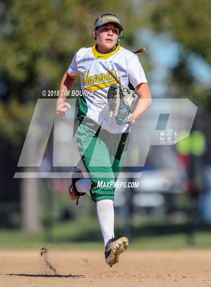 Thumbnail 1 in Pueblo County vs. Ponderosa (CHSAA 4A 1st Round Playoff) photogallery.