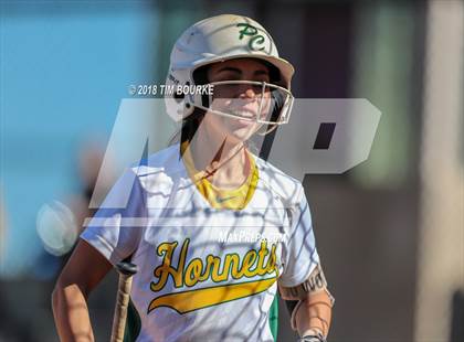 Thumbnail 2 in Pueblo County vs. Ponderosa (CHSAA 4A 1st Round Playoff) photogallery.