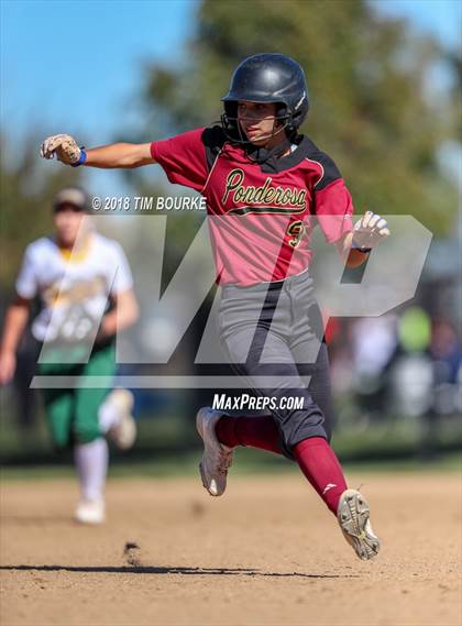 Thumbnail 1 in Pueblo County vs. Ponderosa (CHSAA 4A 1st Round Playoff) photogallery.