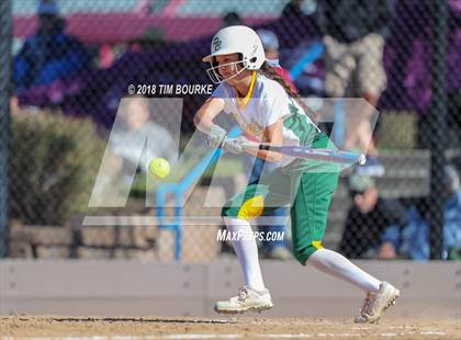 Thumbnail 1 in Pueblo County vs. Ponderosa (CHSAA 4A 1st Round Playoff) photogallery.