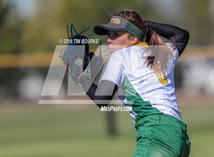 Thumbnail 3 in Pueblo County vs. Ponderosa (CHSAA 4A 1st Round Playoff) photogallery.