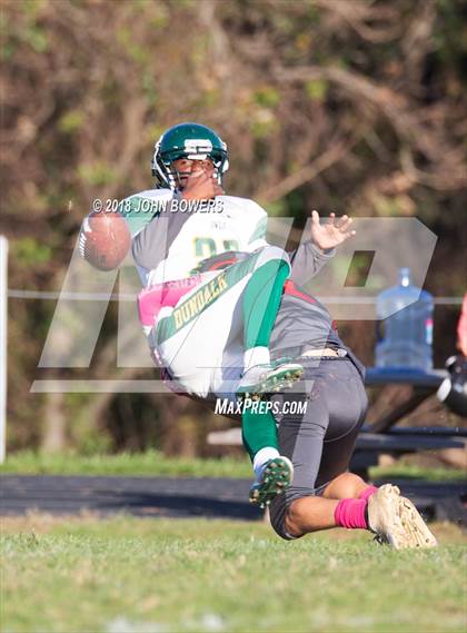 Thumbnail 1 in Dulaney @ Dundalk photogallery.