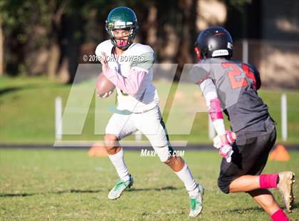 Thumbnail 1 in Dulaney @ Dundalk photogallery.