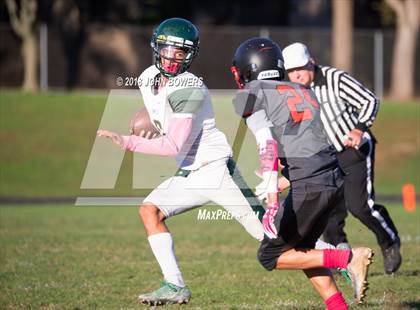Thumbnail 2 in Dulaney @ Dundalk photogallery.