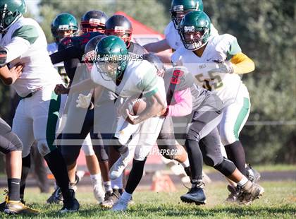 Thumbnail 1 in Dulaney @ Dundalk photogallery.