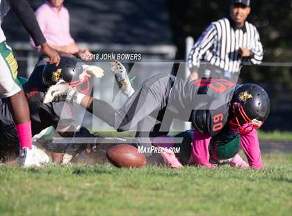 Thumbnail 1 in Dulaney @ Dundalk photogallery.